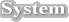 System
